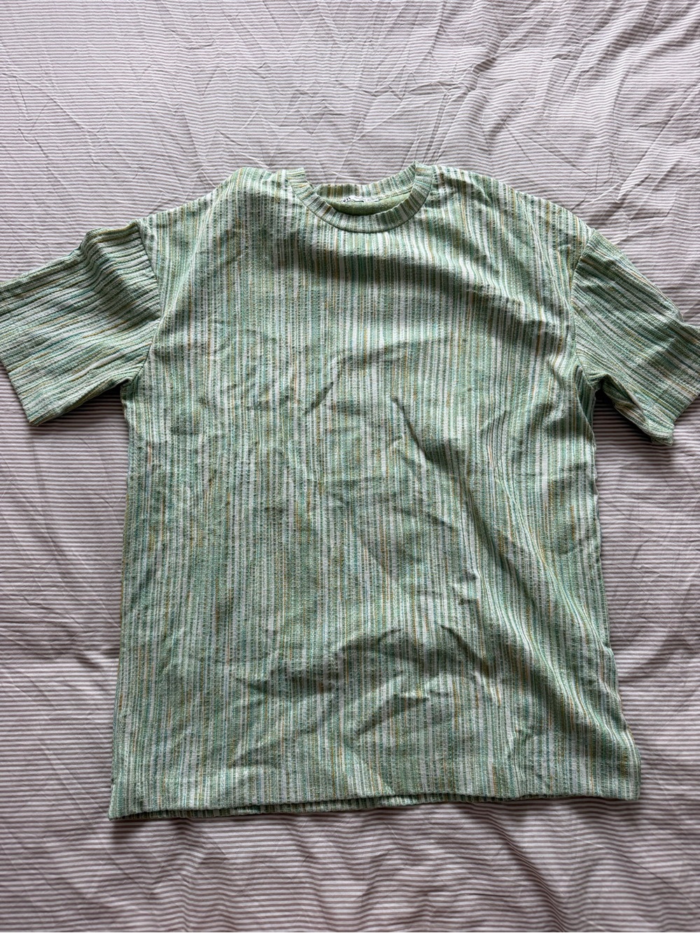 Zara Men's Green Striped Crew Neck T-Shirt